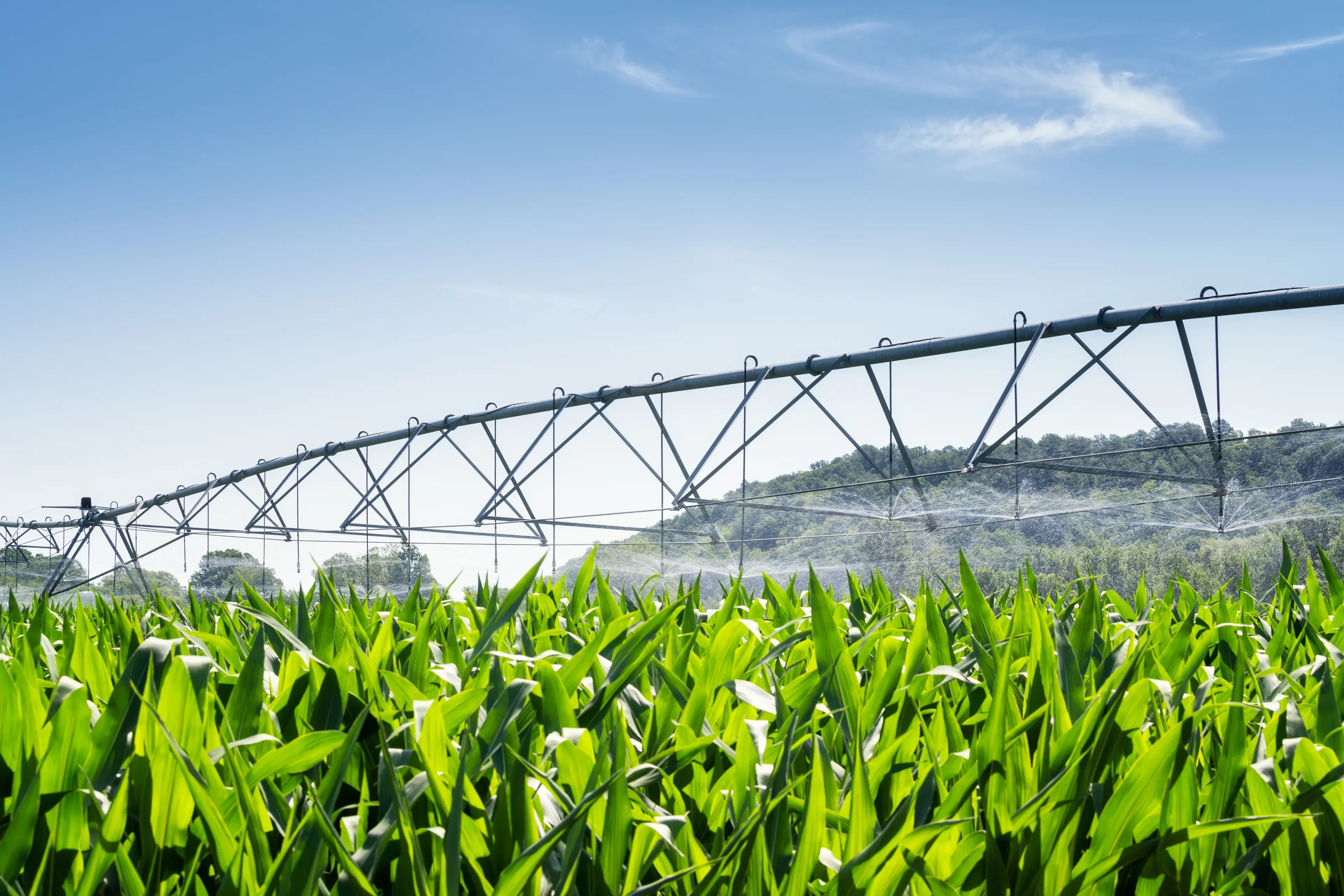 Agricultural Film and Plastics