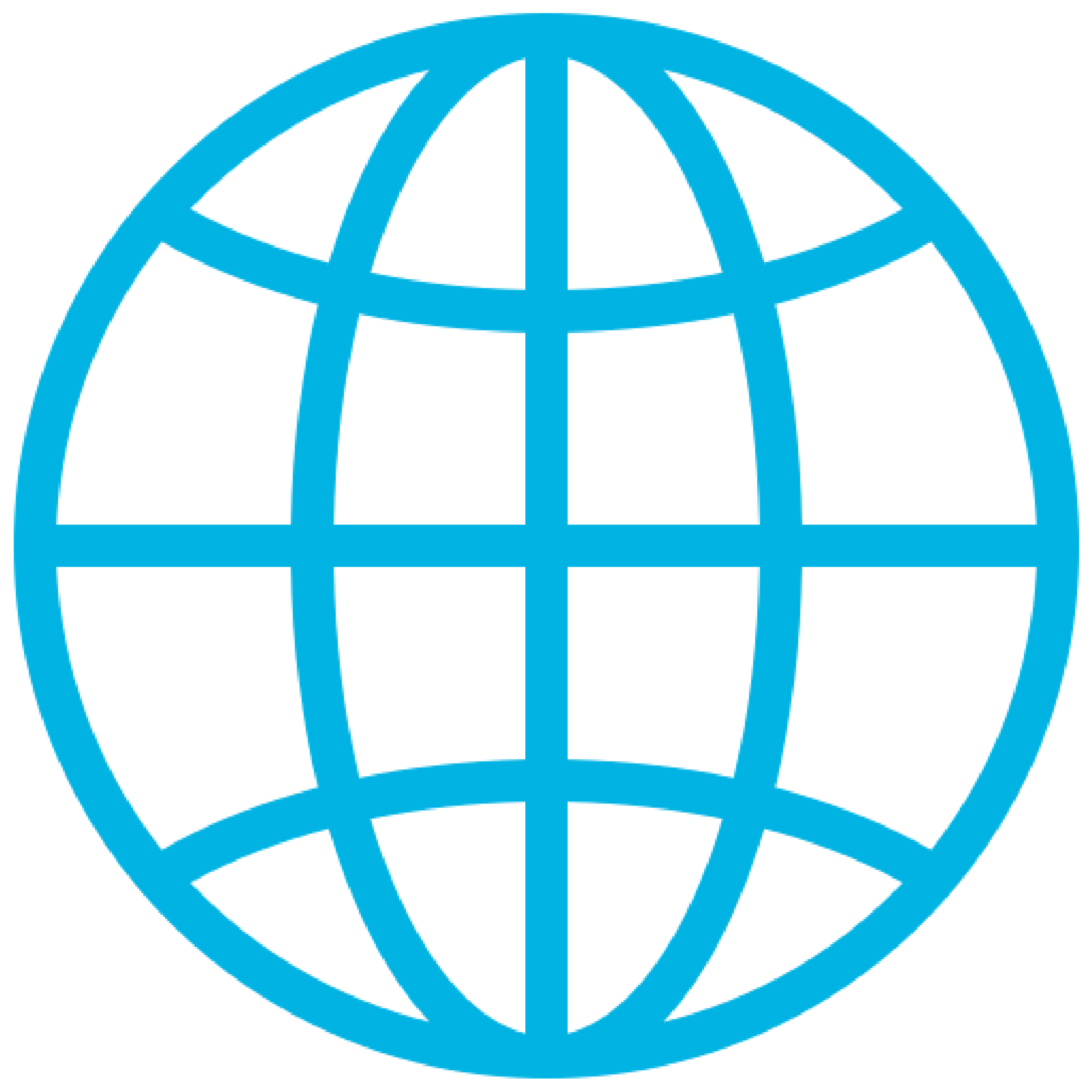 icon showing a globe